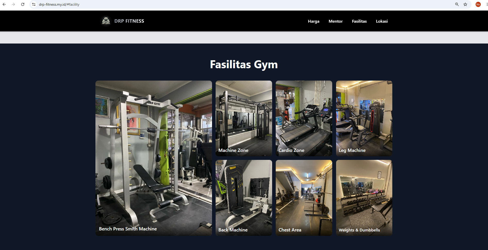 DRP landing page alternate view